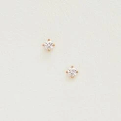 Sparkling Stud Earrings
