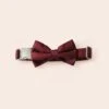 Sadie Dog Bow Tie Collar - Sheen Cabernet 1 Sadie Dog Bow Tie Collar - Sheen Cabernet -Wedding Dress Store BIRDY GREY MUGGSY DOG BOW TIE COLLAR CABERNET 01
