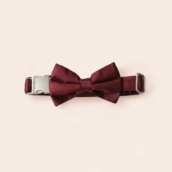 Sadie Dog Bow Tie Collar - Sheen Cabernet