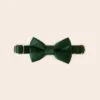 Sadie Dog Bow Tie Collar - Sheen Emerald -Wedding Dress Store BIRDY GREY MUGGSY DOG BOW TIE COLLAR EMERALD 01