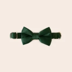 Sadie Dog Bow Tie Collar - Sheen Emerald