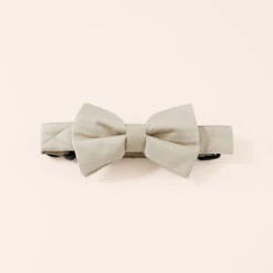 Sadie Dog Bow Tie Collar - Neutral Champagne