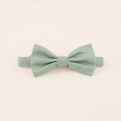 Harry Bow Tie - Sage