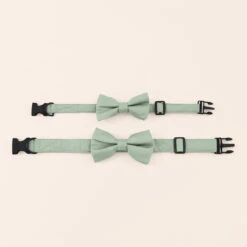 Sadie Dog Bow Tie Collar - Sage -Wedding Dress Store sage sadie dog bow tie collar 01 12d05134 6e90 4009 89d4 56c97d7e67fc