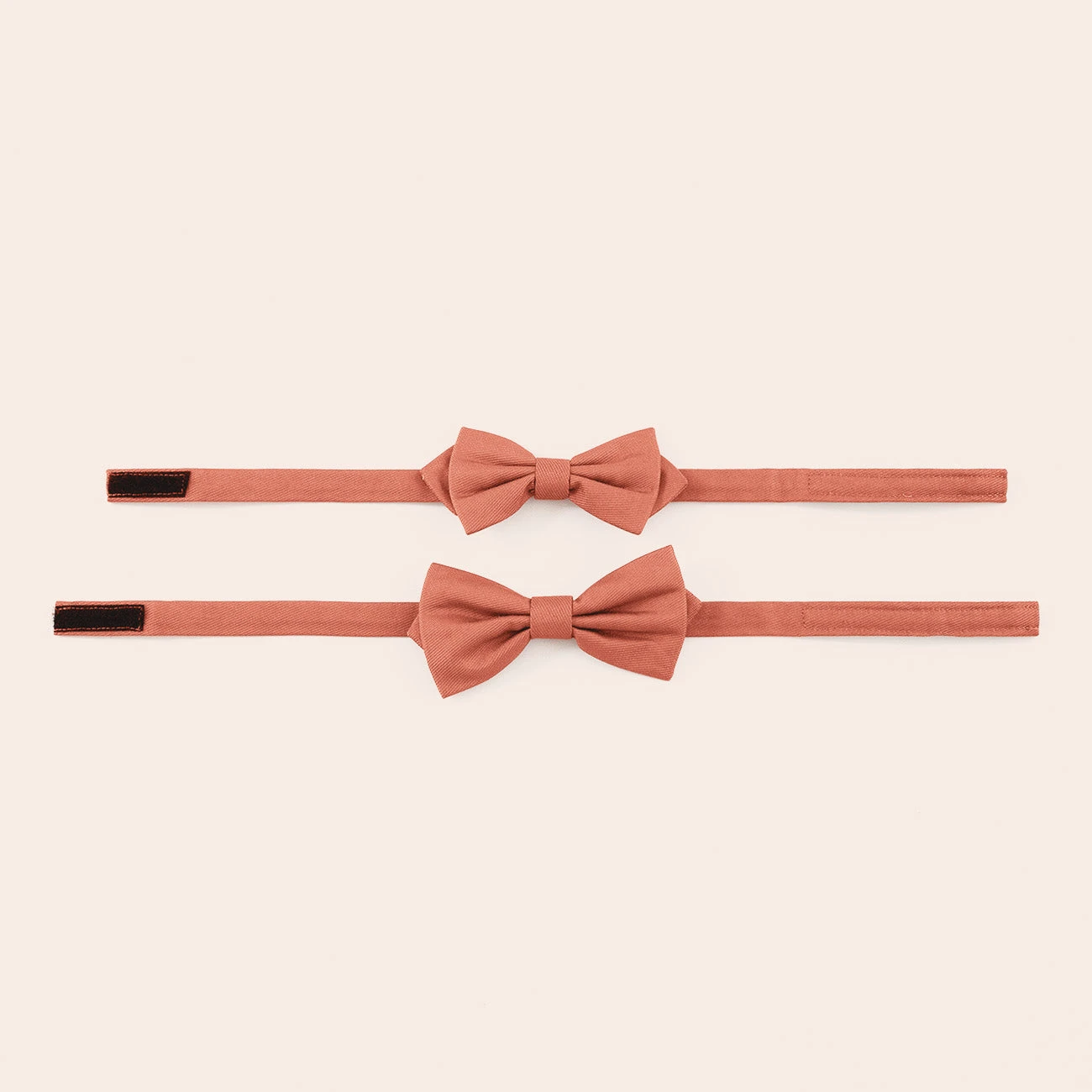 Harry Bow Tie - Terracotta 5 Harry Bow Tie - Terracotta - Image 3