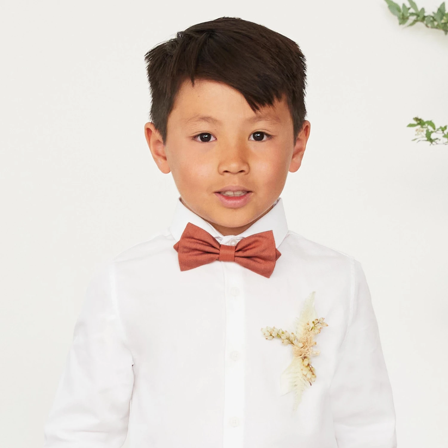 Harry Bow Tie - Terracotta 4 Harry Bow Tie - Terracotta - Image 2